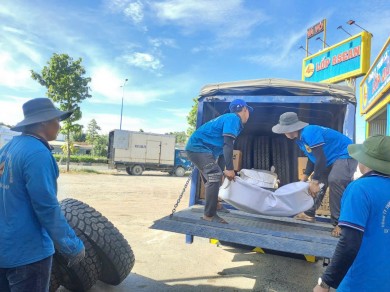 Đại lý lốp xe tải - container uy tín Bình Dương - TPHCM